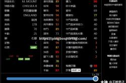 平博-足球比赛技术数据汇总，球员表现分析